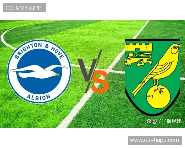 伯明翰与布莱顿对决前瞻分析球队状态及战术布置探讨 伯明翰与布莱顿对决前瞻分析球队状态及战术布置探讨