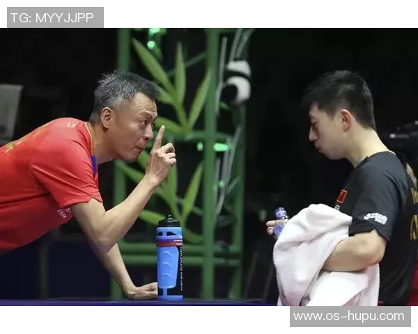 南京篮球队心理素质深度对比分析揭示球队胜负关键因素