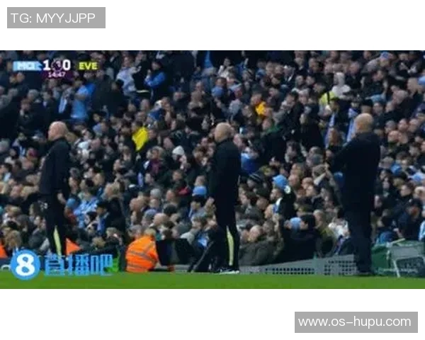 埃弗顿与曼城对决分析战术布局与球员表现全面解读