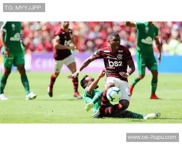 弗拉门戈与巴拉纳的激烈对决揭示巴西足球的魅力与竞争力